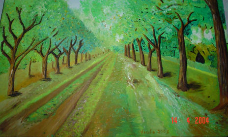 Paisajes