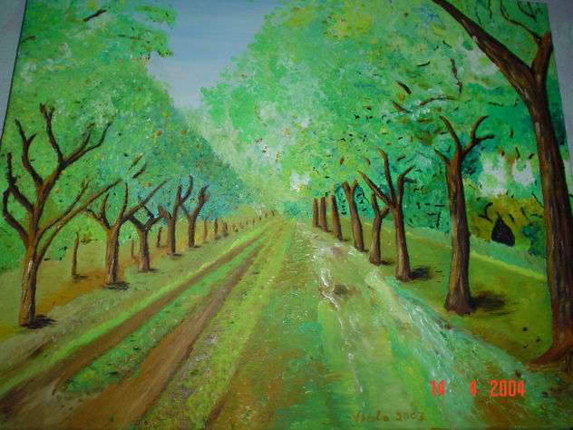 Camino rural