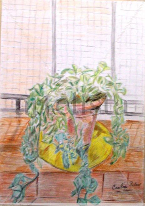La planta del dólar