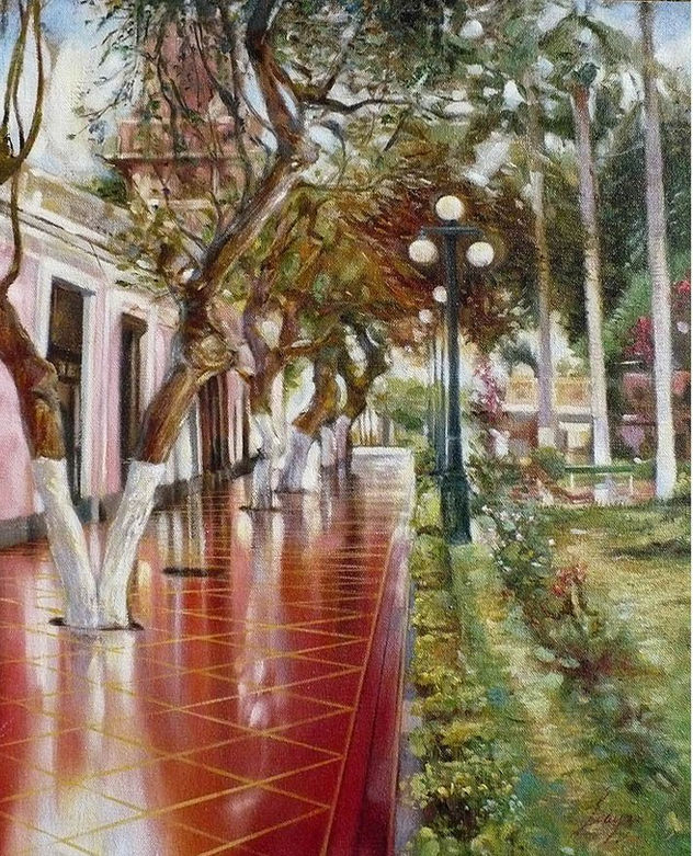 reflejos