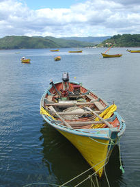 Bote de pescador