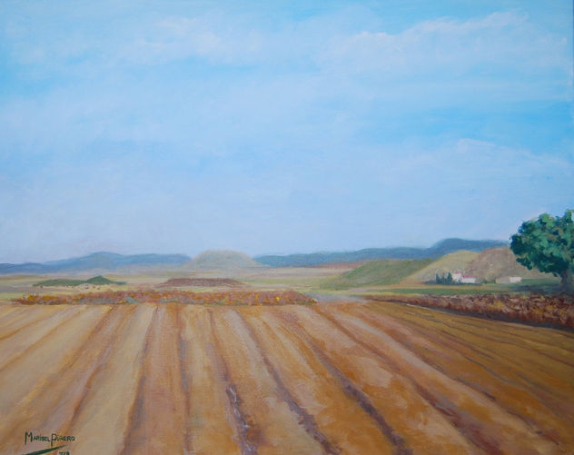 campo andaluz