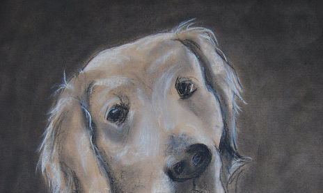 DIBUJOS