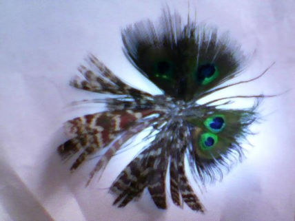 EFECTO Mariposas