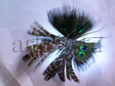 EFECTO Mariposas