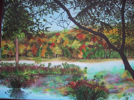 Reflejos