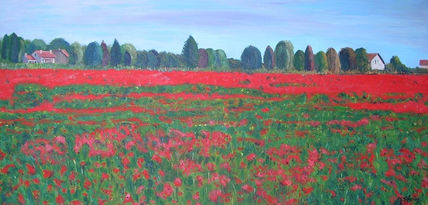 Campo de amapolas