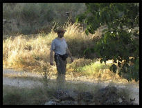 Paseo por el campo