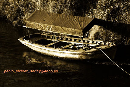 Barca en sepia