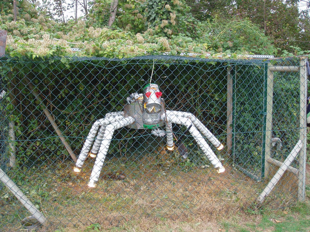 Cyber aranha