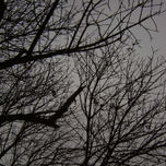 Fotografias thumbnail 1