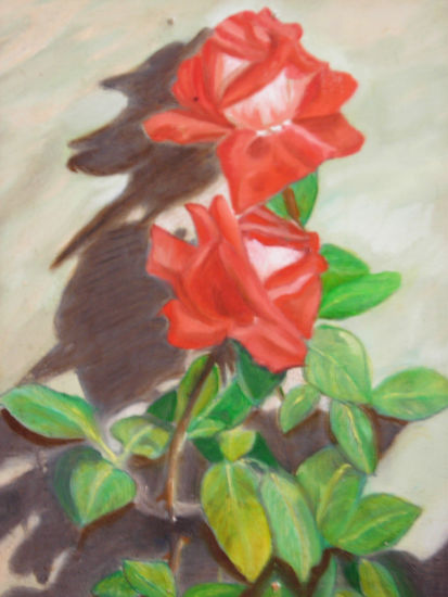 rosas 