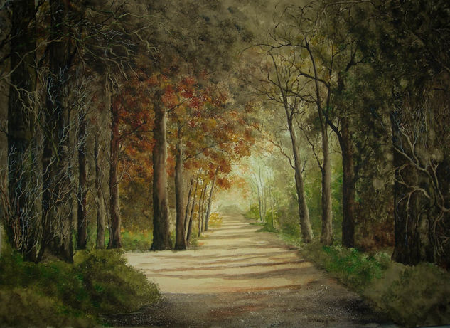 TUNEL Watercolour Paper Landscaping