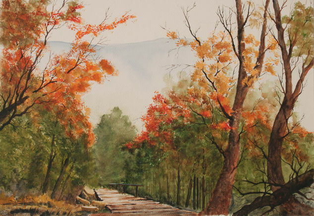 NA VEIRA DO CAMIÑO Watercolour Paper Landscaping