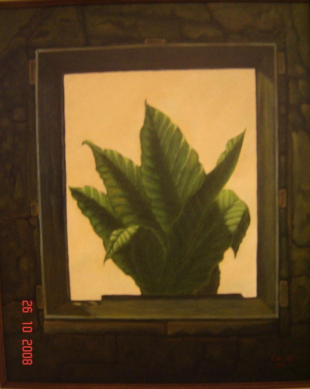 A través de la ventana