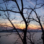 7.Mar thumbnail 1