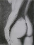 Modelo clandestina
