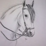 Caballos thumbnail 2