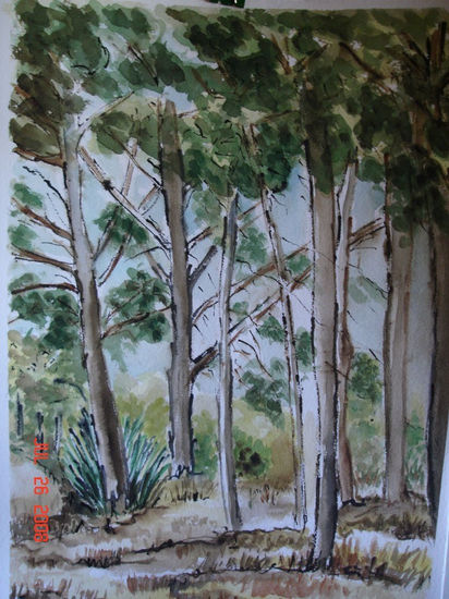 Pinada 3 Watercolour Paper Landscaping