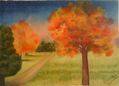PAISAJE ORDENADO