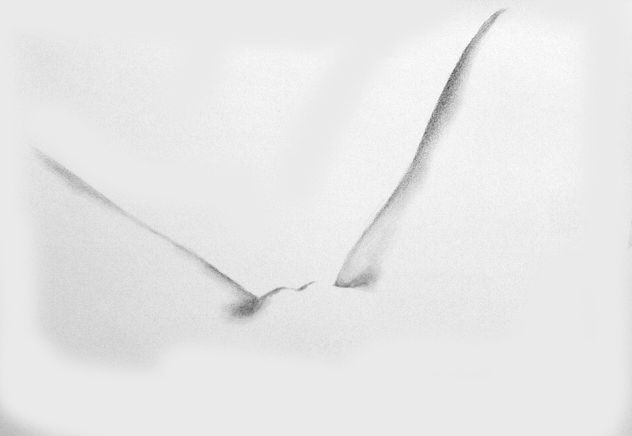 Monocromo 04