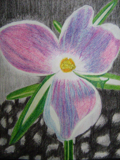 Flor Pencil