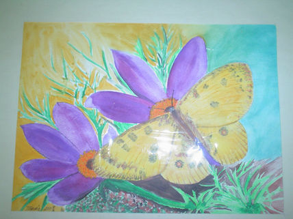 Mariposa 1