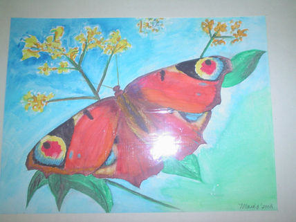 Mariposa 2