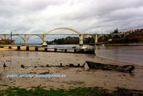 Puente del pedrido