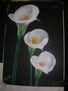 3 calas