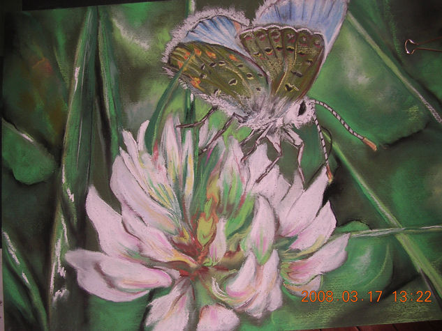 La mariposa Pastel Lienzo Floral