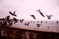 Iniciando el vuelo