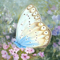 Mariposa Azul