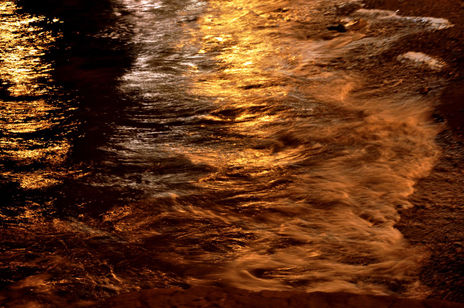 Reflejos dorados