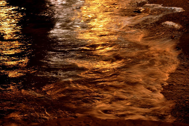 reflejos dorados
