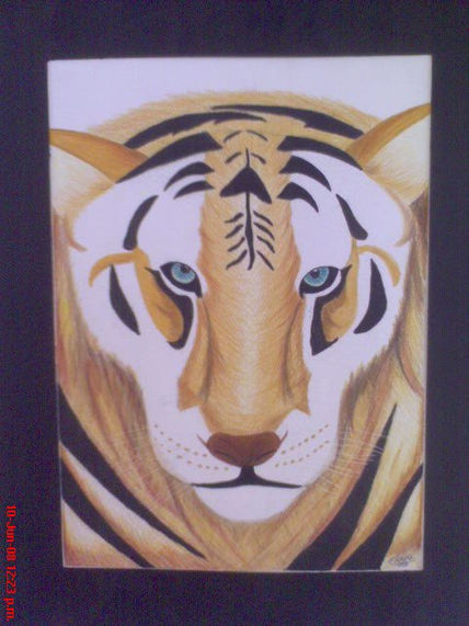 Tigre