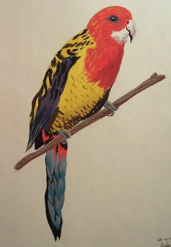 Loro