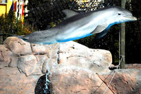 Salto al aire