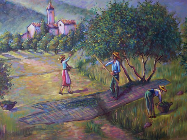 Aceituneros Oil Canvas Landscaping