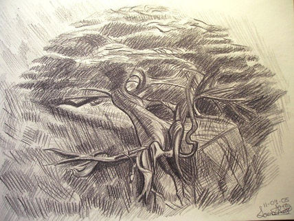 Árbol