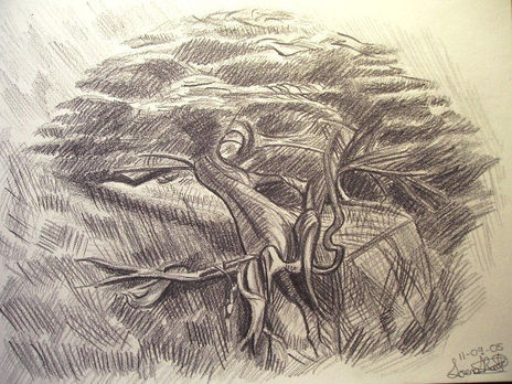Árbol