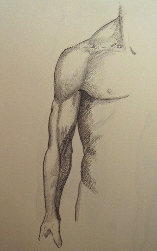 anatomía Graphite