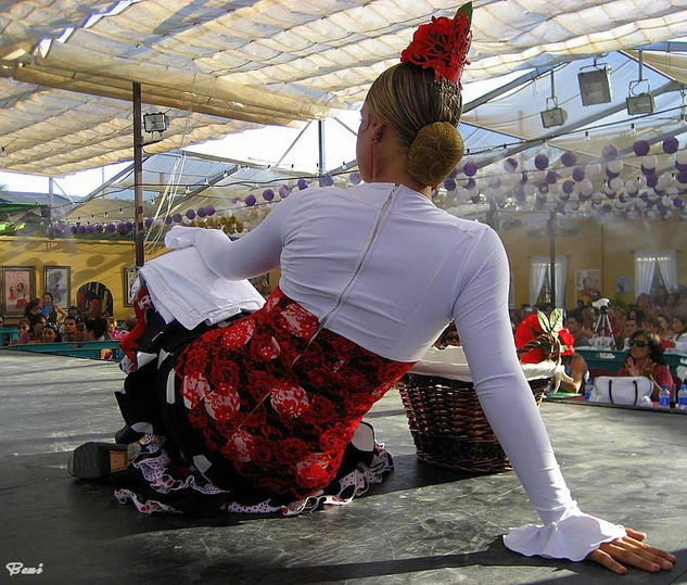 Finaliza la Feria de Málaga 2008.  Viva la feria 2009 