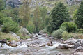 Picos de  Europa