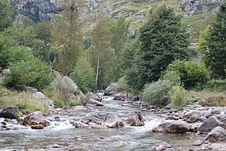 Picos de  Europa 