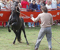 Arriba Asturias