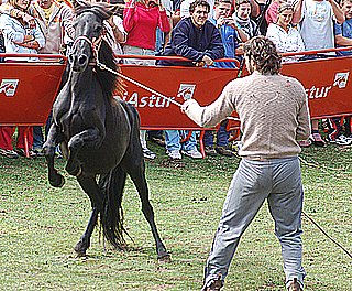 Arriba Asturias 