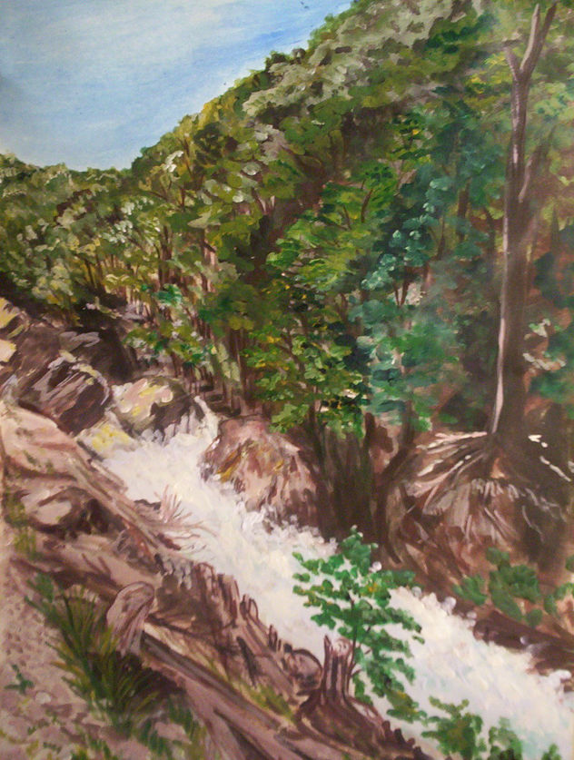 NACIMIENTO RIO DE LAS VUELTAS
