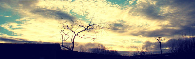 Amanece