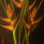 Florales thumbnail 1